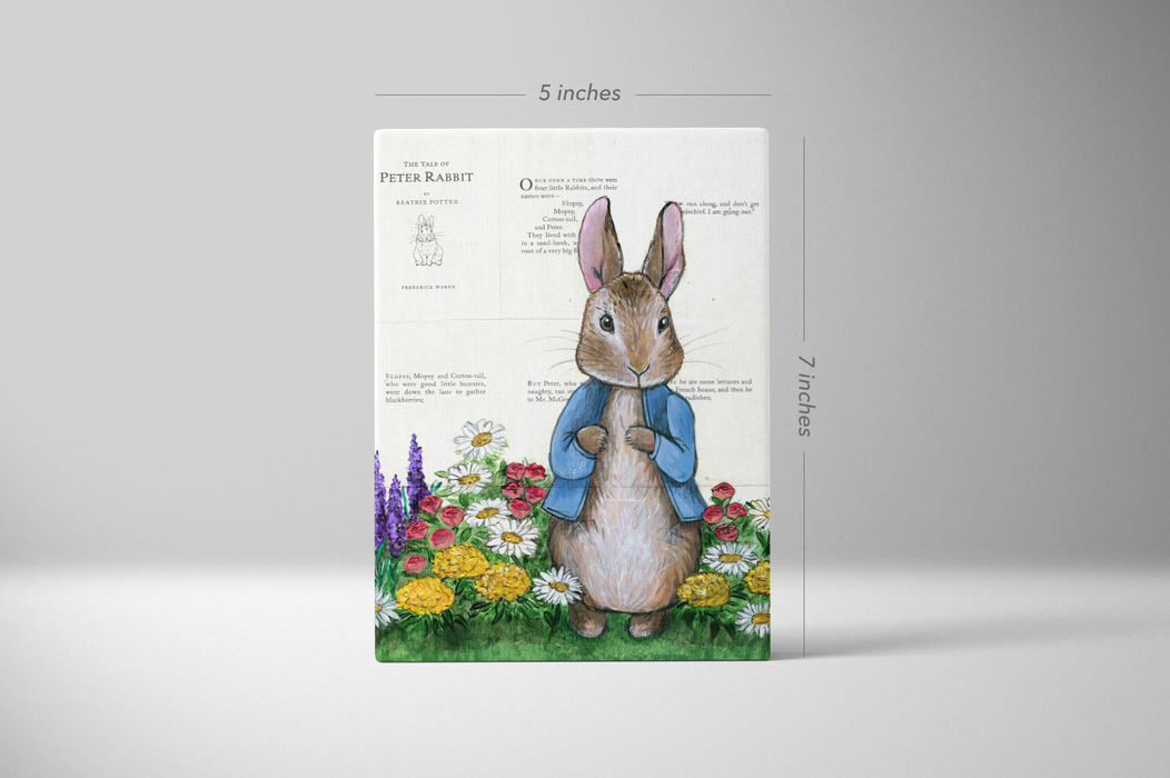 Mini Canvas Print of Peter Rabbit