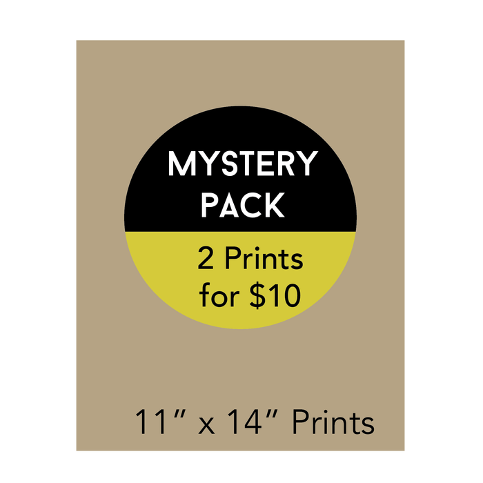 Mystery Pack 11" x 14" Prints