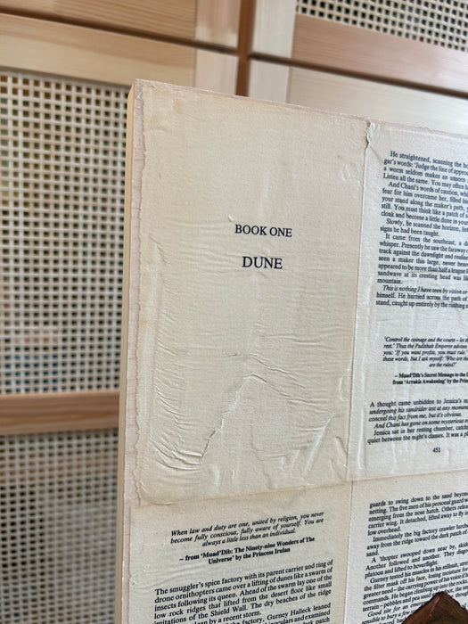 Original Painting of Dune