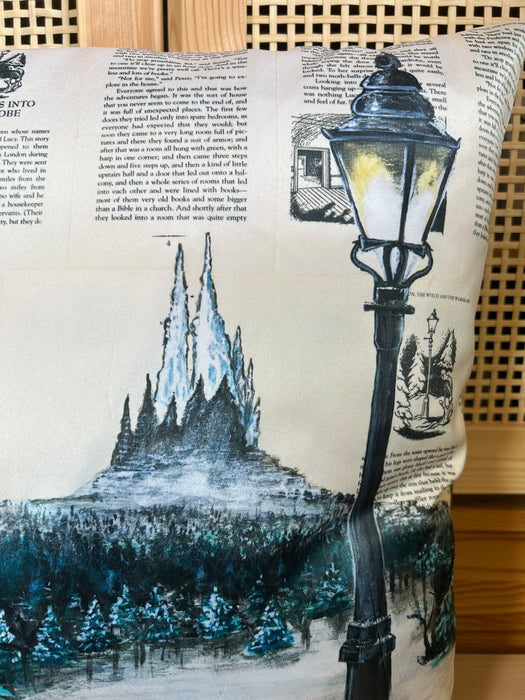 Pillow Case of Through the Wardrobe
