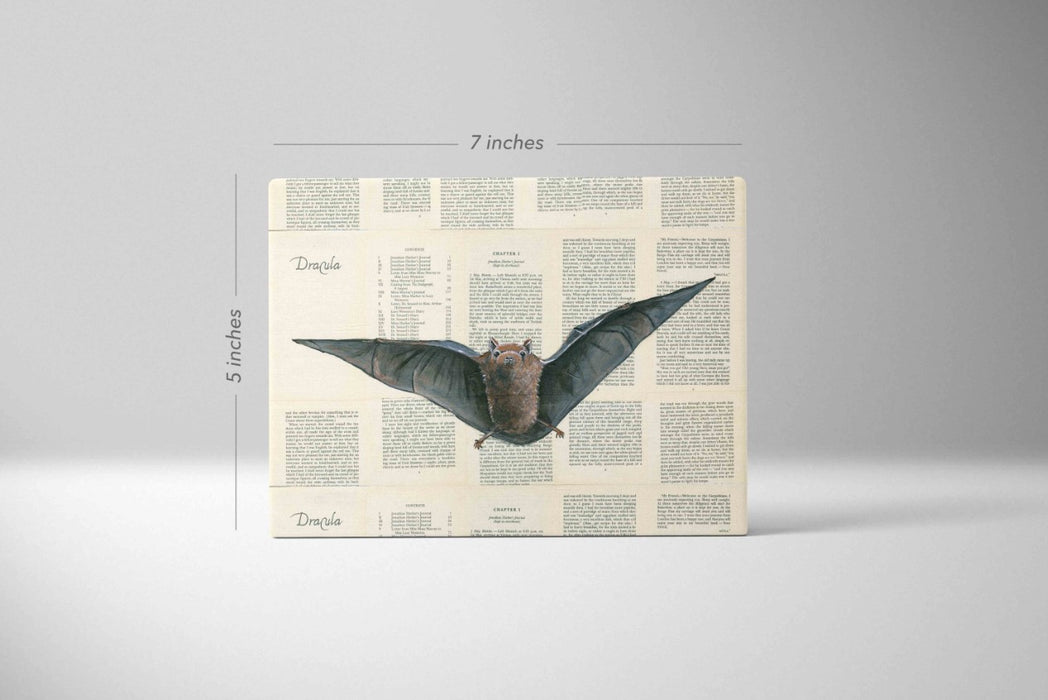 Mini Canvas Print of Dracula Bat