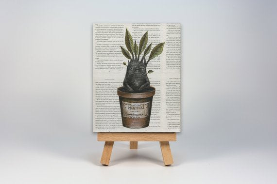 Mini Canvas Print of a Mandrake